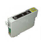 Epson Black Ink Cartridge T1291