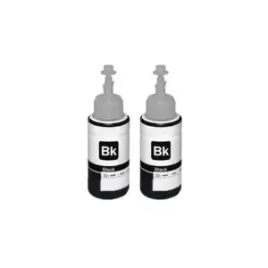 Epson Dual Pack Ink Bottles T664